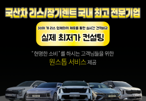 국산차(전용) 장기렌트
