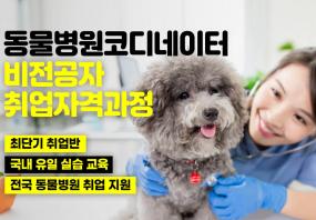 애견 (동물병원 코디네이터)